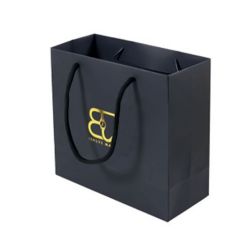 Craft Paper Shopping Bag With Custom Printed Logo & Ribbon Handle